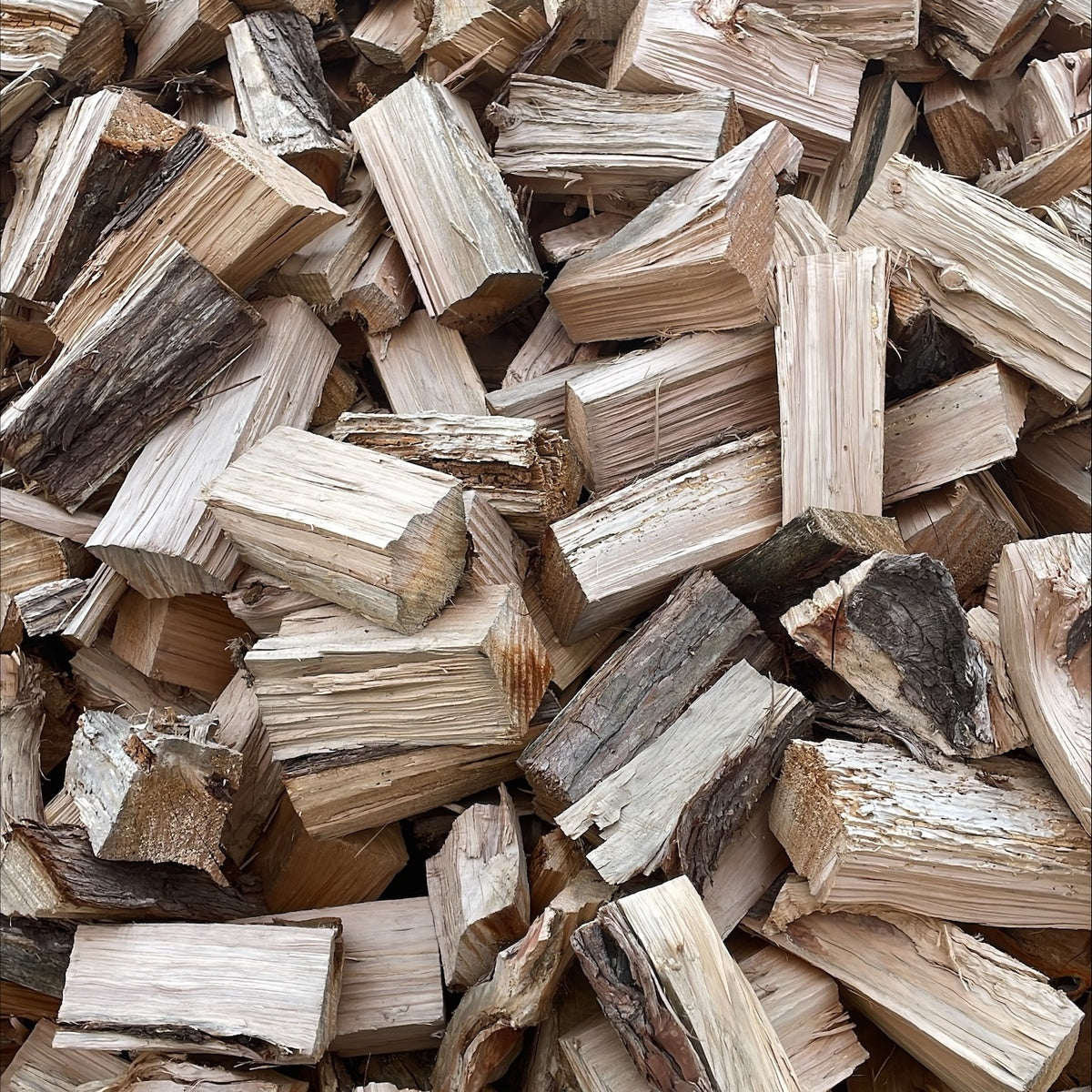 Macrocapa Firewood