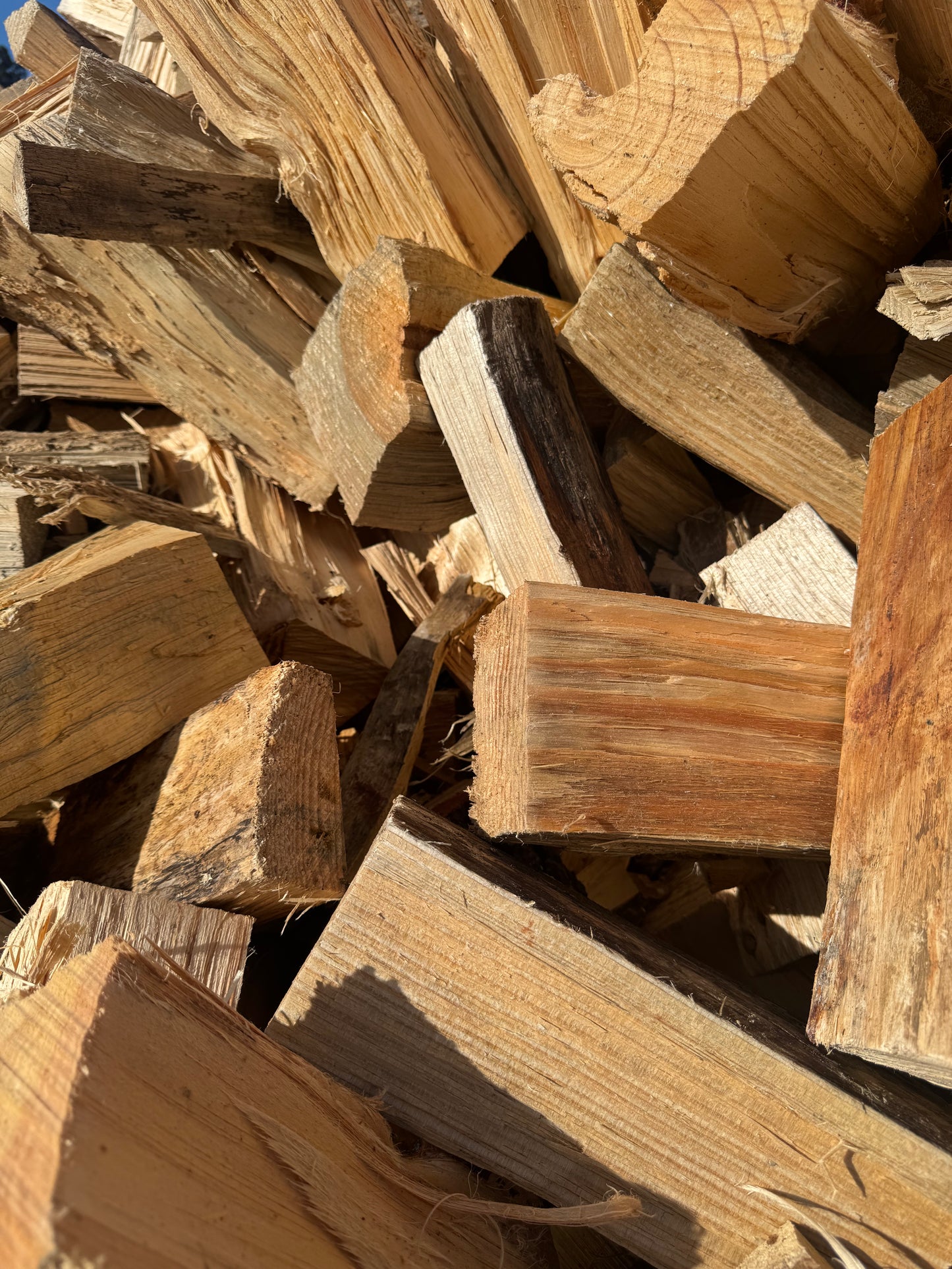 DRY Old Man Pine